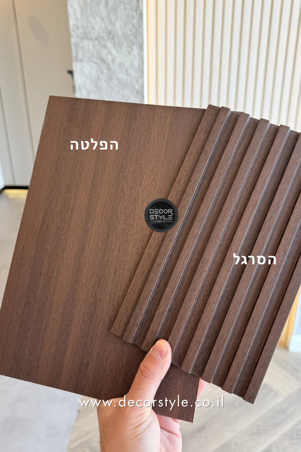 תמונה ממוזערת 2